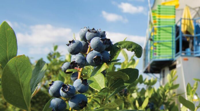 Georgia’s Ag Industry Launches new Campaign