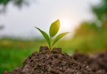Jain starts irrigation training during Coronavirus pandemic