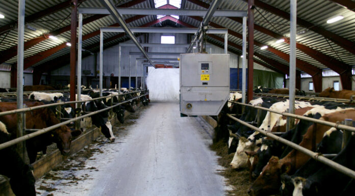 Bäckeby Farm Relies on GEA Technology for Excellent Results